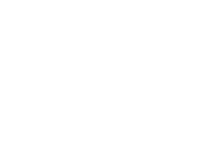 Forge Interactive